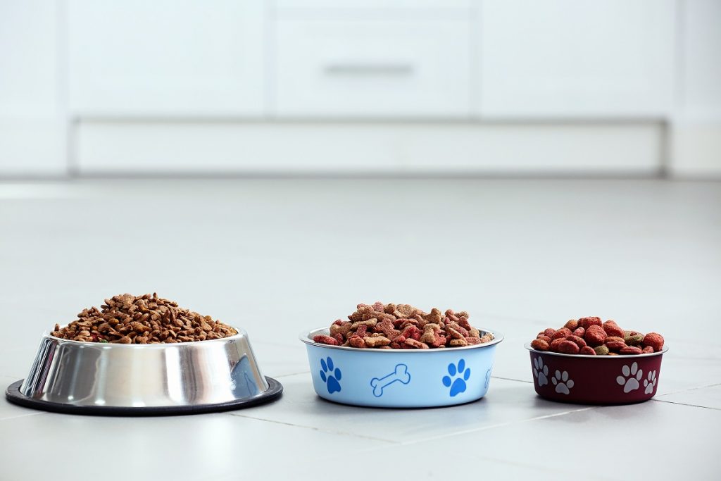 Dog food in different types of bowls