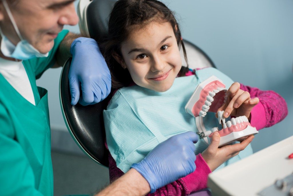 little girl looking at a dental model