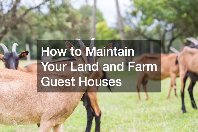 How to Maintain Your Land and Farm Guest Houses